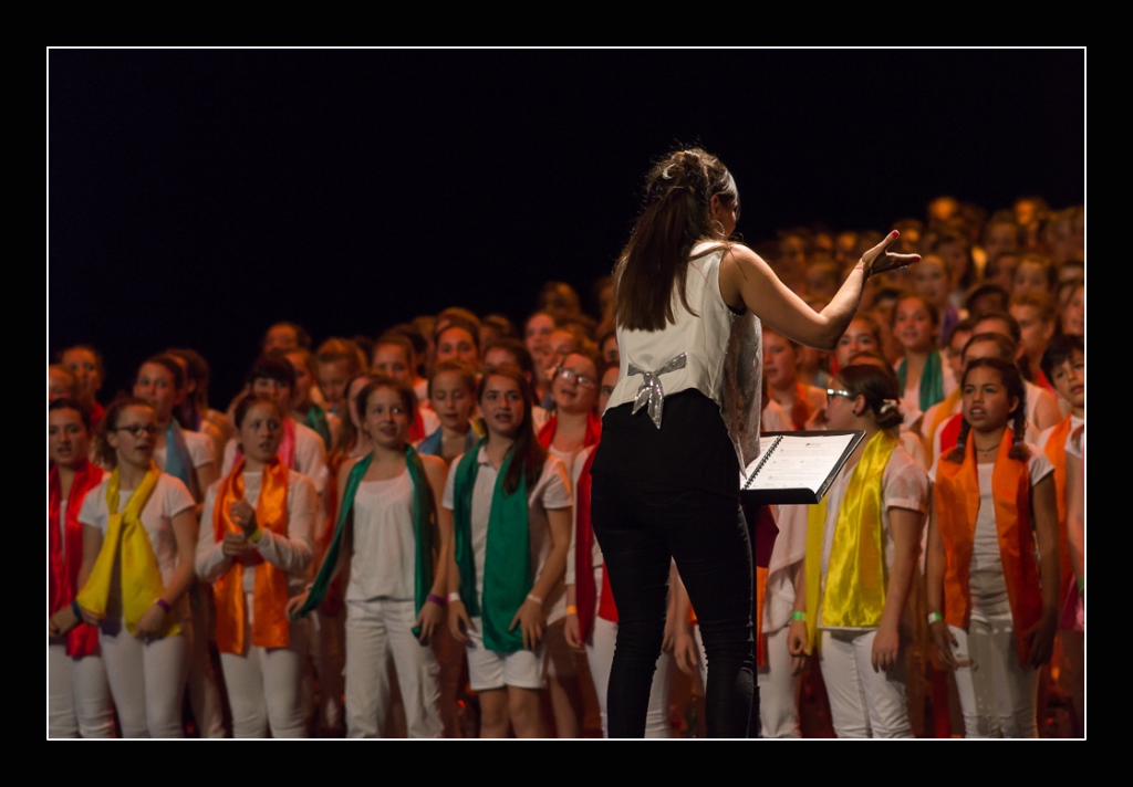 spectacle-concert-quintaou-2016-93